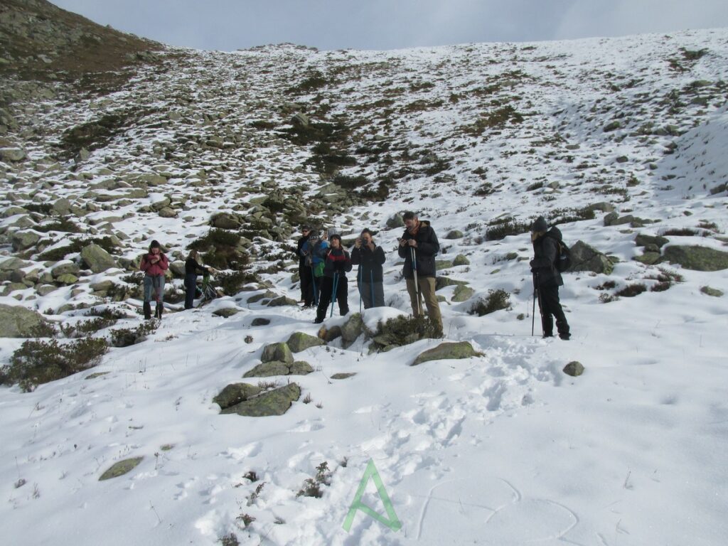 gruppo neve